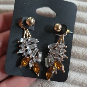 New Earrings